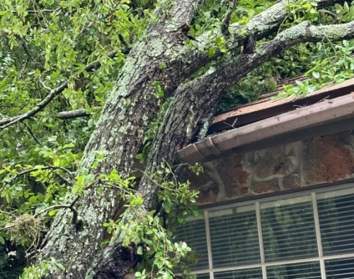 Emergency Tree Services Kingsbury TX