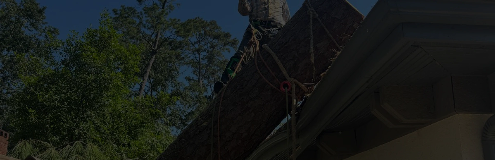 Emergency Tree Services breadcrumb Kingsbury TX