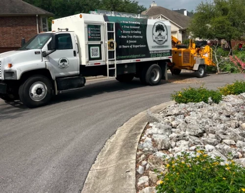 Land Clearing & Lot Clearing Kingsbury TX
