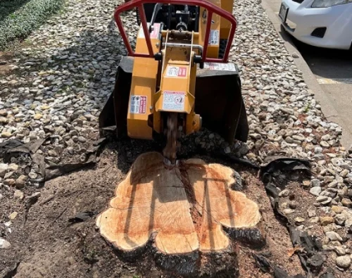 Stump Grinding & Removal Kingsbury TX