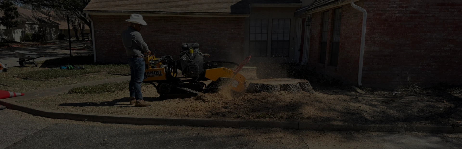 Stump Grinding & Removal breadcrumb Kingsbury TX